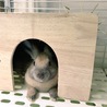 おきにいりハウス