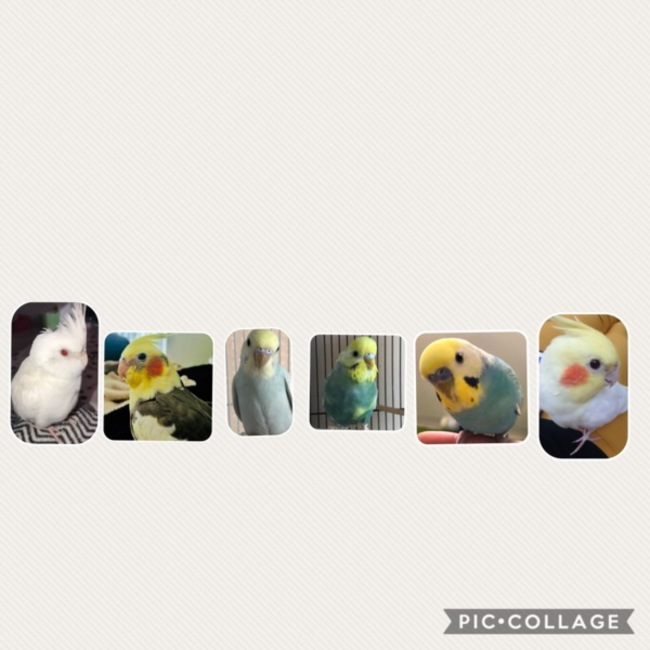 hide3nhoのカバー写真