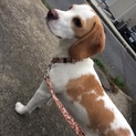 2回目の募集です…