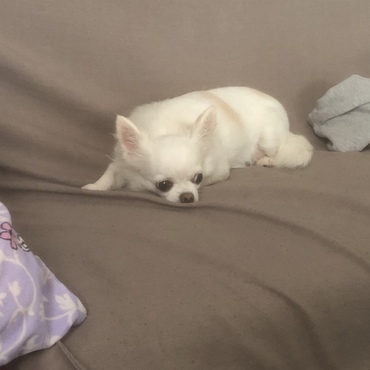 この感じすきやね^_^
