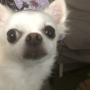 の写真