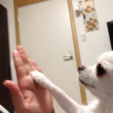 の写真