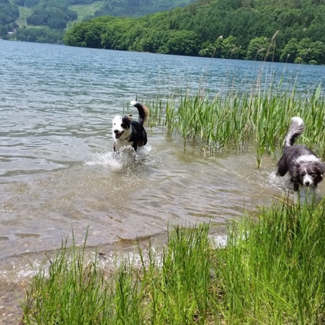 Wizardsのカバー写真