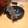 むぎむぎむぎむぎ