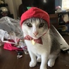 まゆさと