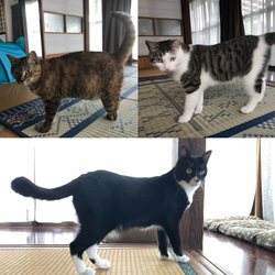 「体重測定」サムネイル2