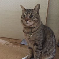 ライト