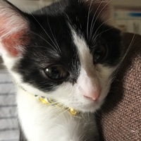 鶴子