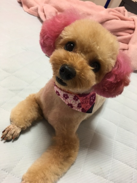 メイメイ