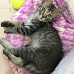 元気いっぱい！