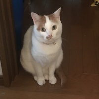 きーちゃん
