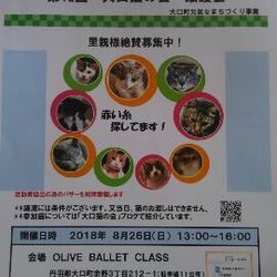 大口町元気なまちづくり事業　第１２回大口猫の会譲渡会