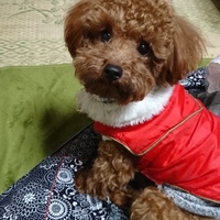 りたろう