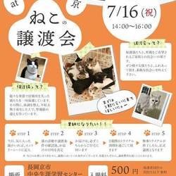 猫の譲渡会@長岡京