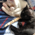 ありがとうございました