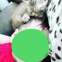 子どもが一番モテモテ