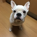 里親様決まりました。ありがとうございました。