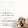 犬の十戒　とても良いお言葉です！(;_;)