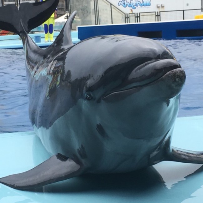 たりくのカバー写真