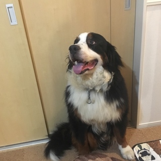 たくさんのお問い合わせありがとうございました。