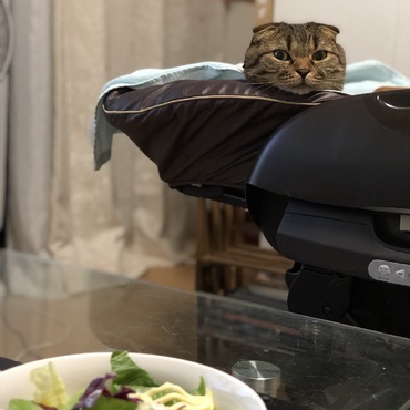 の写真