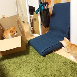 トライアル2日目～立場逆転～