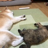 毎日一緒