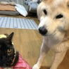 の写真