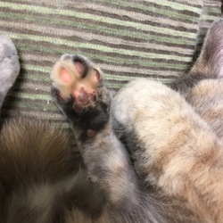 抱っこ修行、休憩ありで。