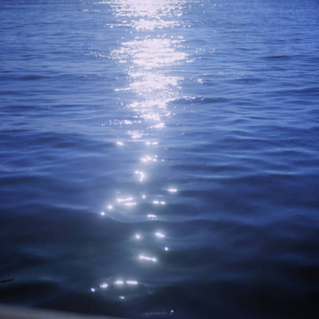 Seitakuのカバー写真