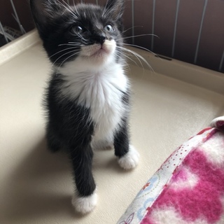 お話進行中です。  