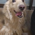 至急　可愛がってくれる方募集