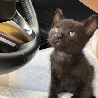 愛嬌たっぷり じゅーろちゃん♪