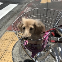 最愛