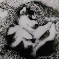 24年前の写真　アナログぅ～！