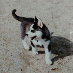 「24年前の写真　アナログぅ～！」サムネイル2