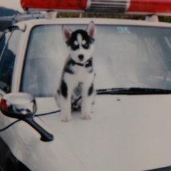 「24年前の写真　アナログぅ～！」サムネイル3