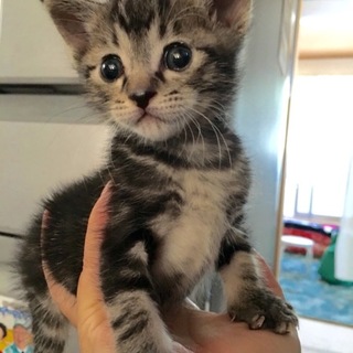 バンビのように走る！ひょっこり癒し顔足長男子。