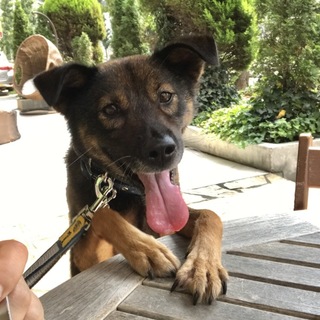 新しい家族ができました！（焦げパン）