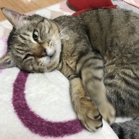 ラブ