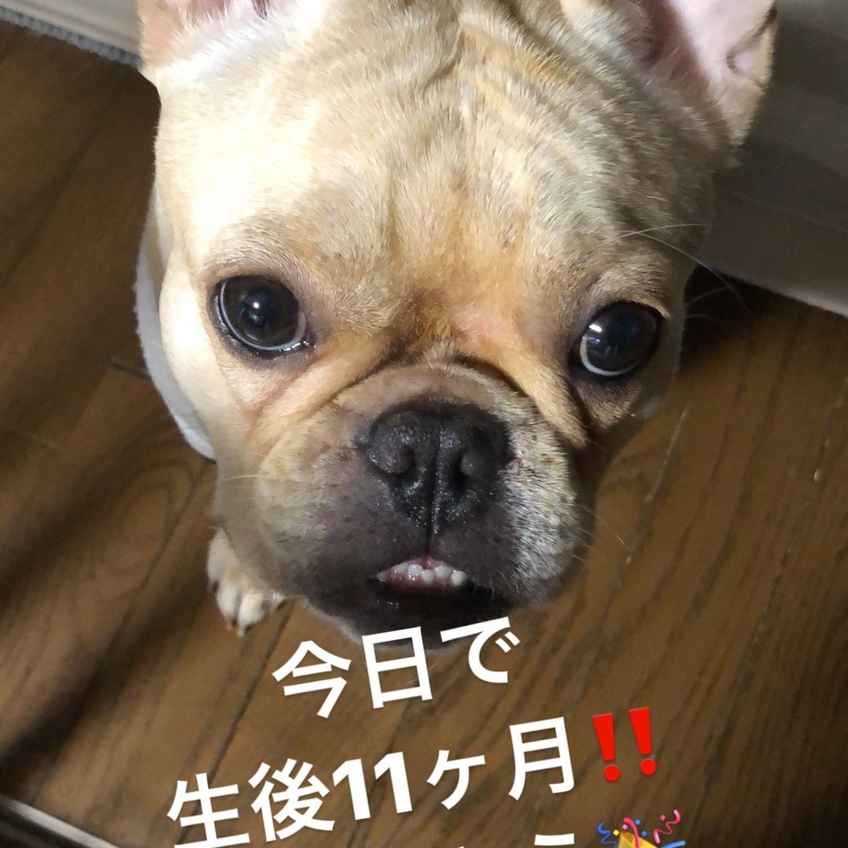 那都のカバー写真