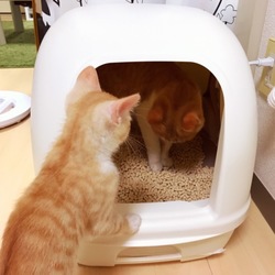 トライアル3日目～監視の日々～