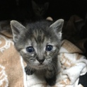 とっても可愛い子です。