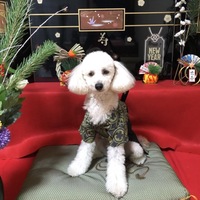 だっふぃー
