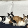 仲良し兄妹
