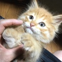 里親さま決まりました☆