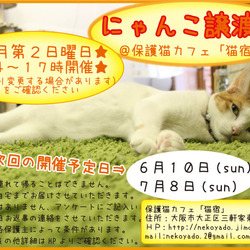 にゃんこ譲渡会