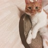  さん