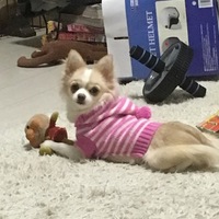 モネ