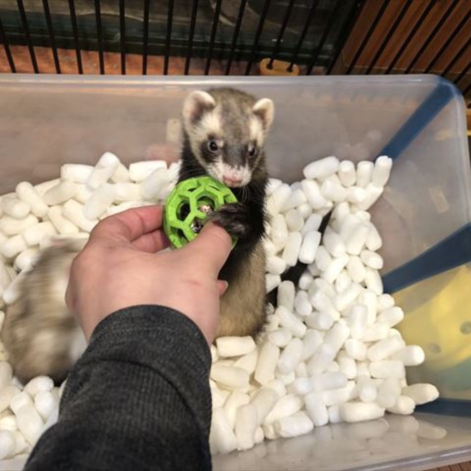 ベルのカバー写真